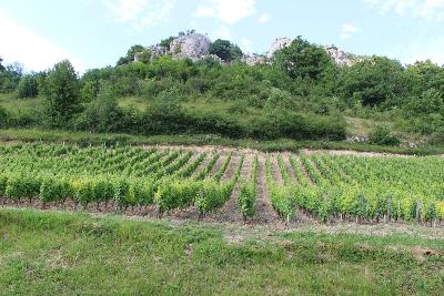 Jura, Savoie, Alsace