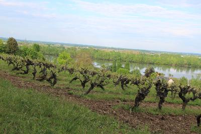 Val de Loire