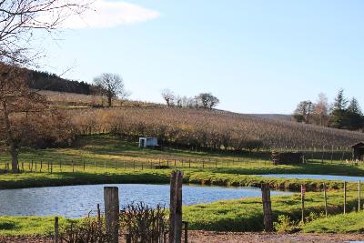 Bourgogne