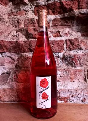 Rose Pompom 2024